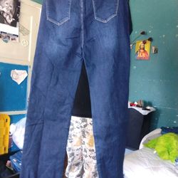 Blue Pants Size 13