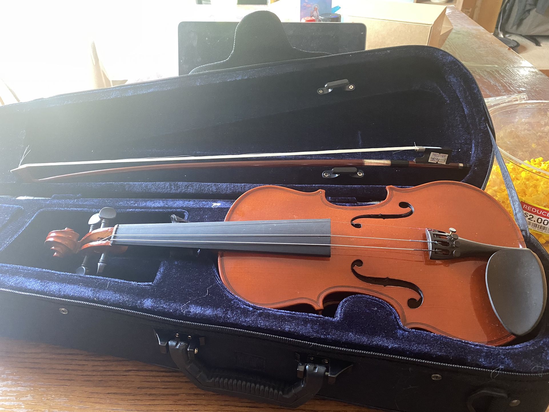 Beginner Violin