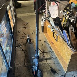 Electric Scooters 
