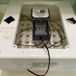 Pro series digital incubator model 4250 by farm innovations