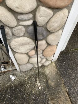 “Celebrity” brand putter