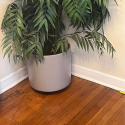 Artificial Plant 6 Ft High With Ceramic Base