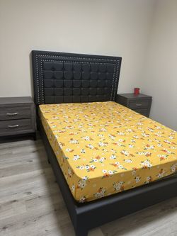 Queen Bed Frame