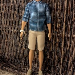 Ken Fashionista Barbie 