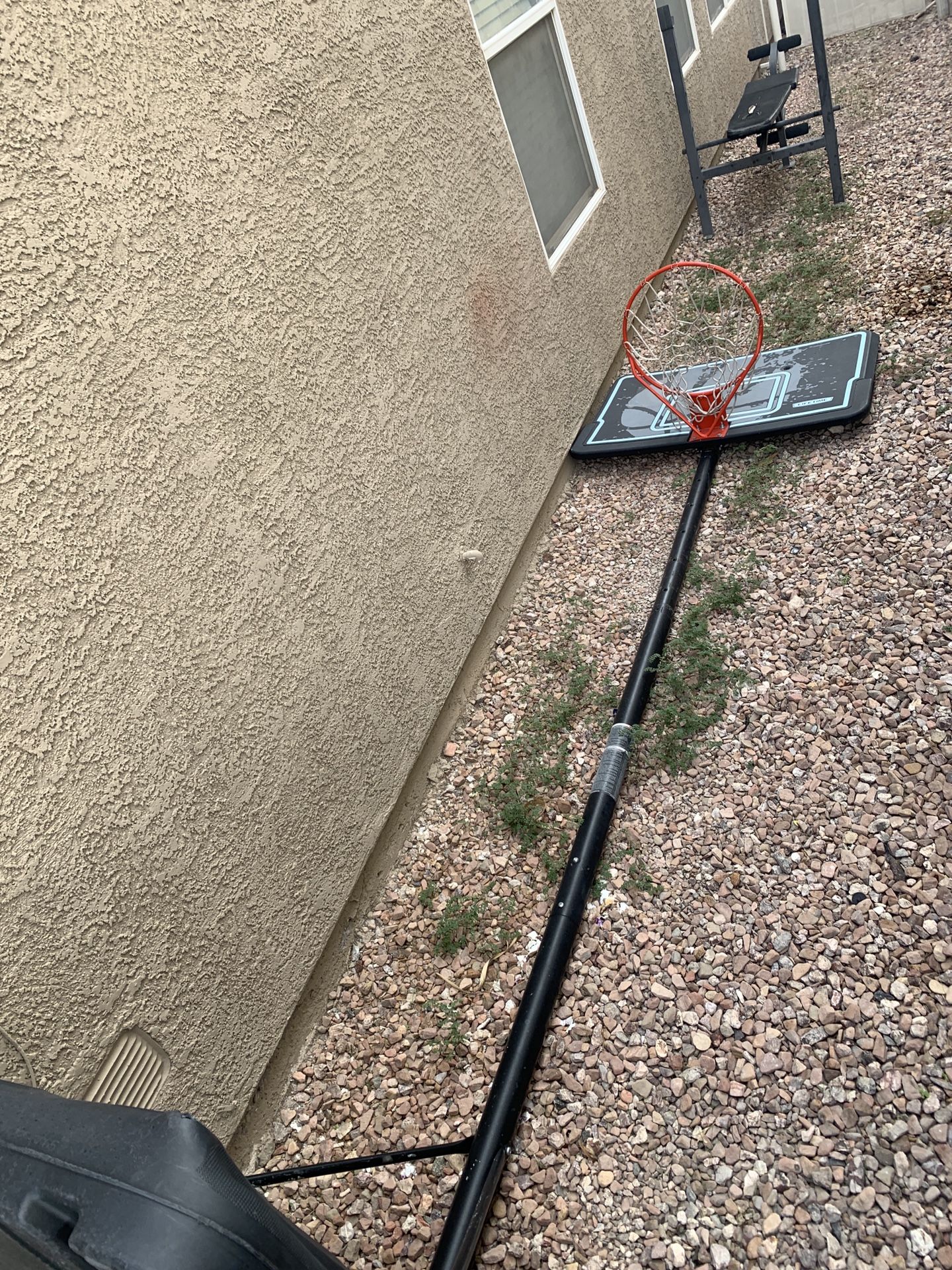 Lifetime Basketball Hoop