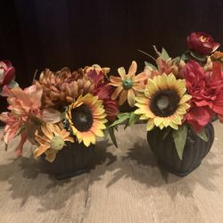 Sunflower Bird nest Flowers