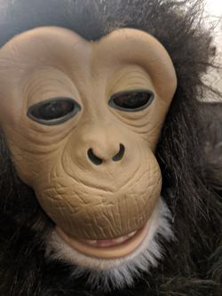 Hasbro interactive monkey