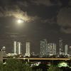 Miami Twist