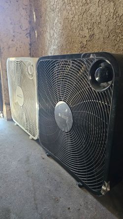 Fans $30