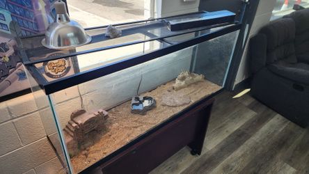 50 gal