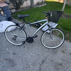Schwinn Beach Cruiser