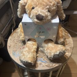 Hot Hugs/ Teddy Bear 