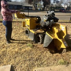 🪵🪵stump Removal 🐿️🐿️
