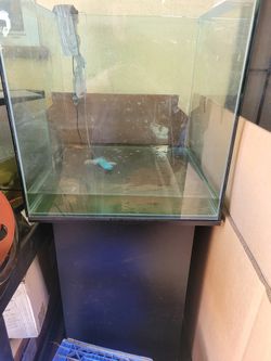 Fish Tank With Small Fish And Stand