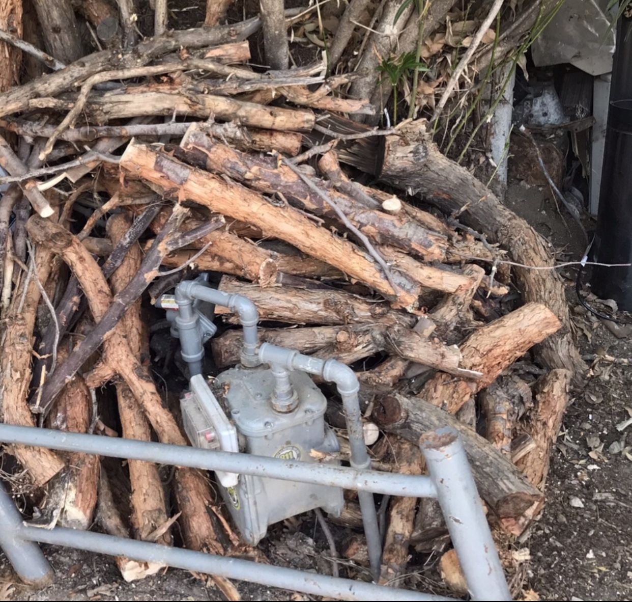 Firewood Cut And Seasoned