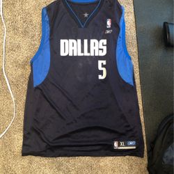 Josh Howard Dallas Maverick Jersey 
