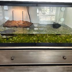 Fish Tank With Turtle