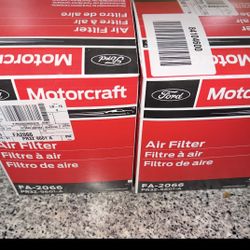 Motorcraft™ Air Filter - Ford (FA-2066) 