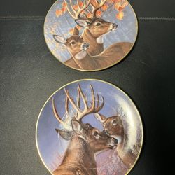 Hamilton Collection 1993 To 1984 Portraits Of The Wild 2 Plates James Meger, 8.5”