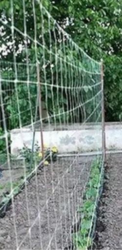 8.5ft trellis tools garden