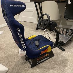 Playseat Evolution Pro Racing Chair with Logitech G920 Wheel and Pedals