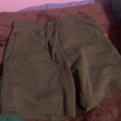 Dp Shorts 