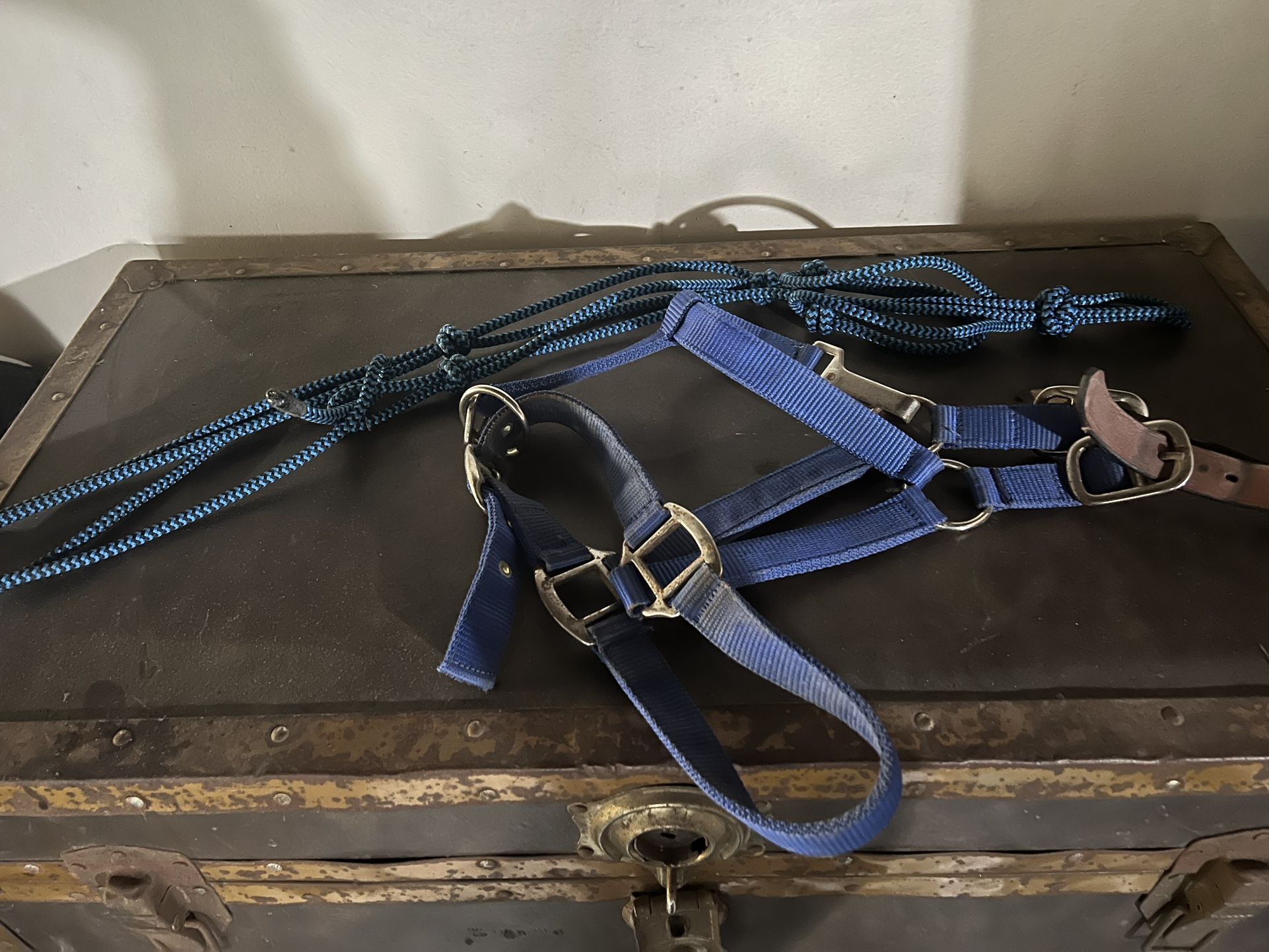 Horse stuff