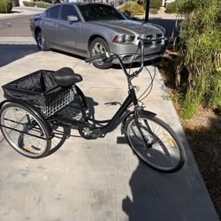 Adult Tricycle 