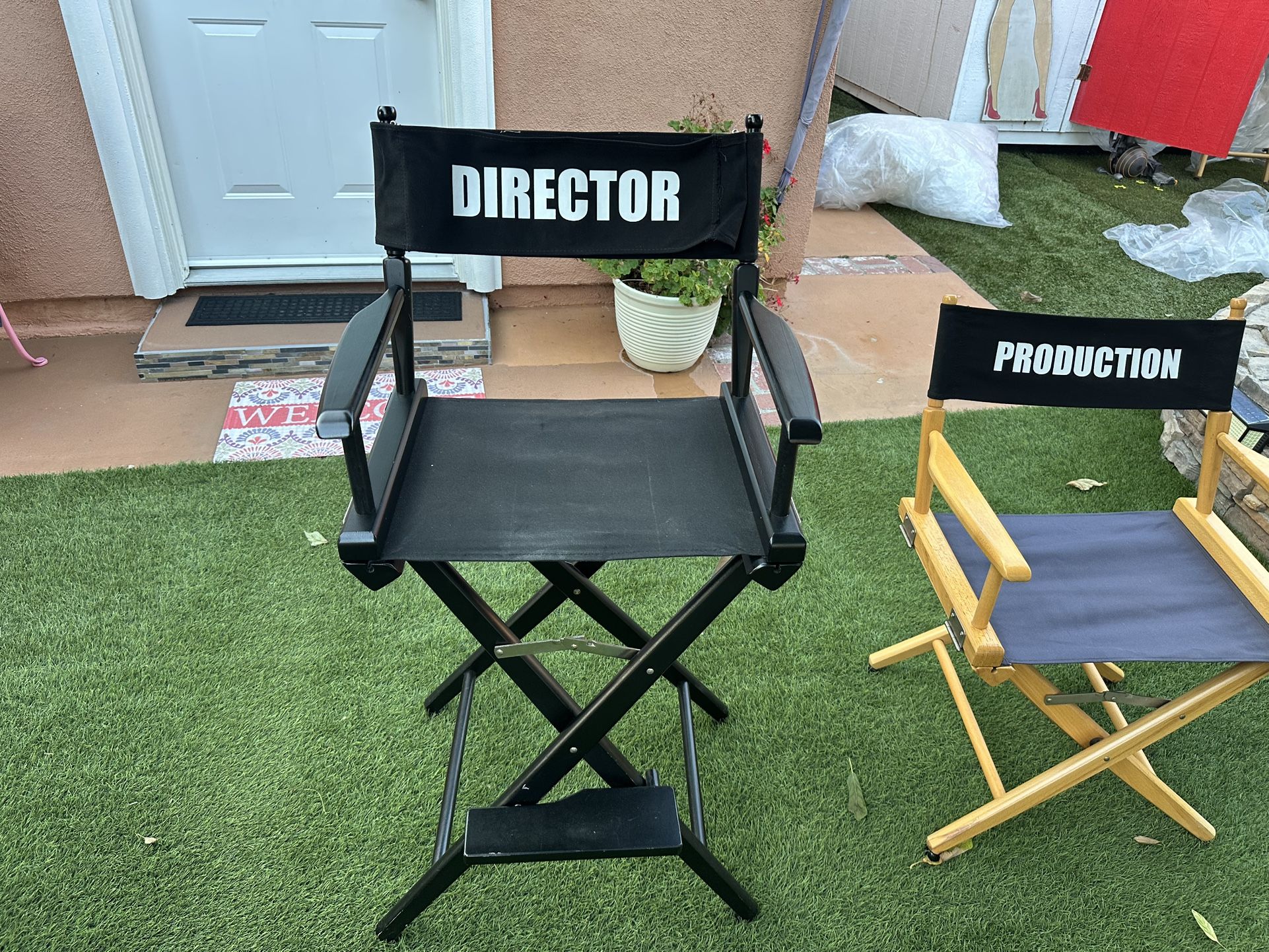 Director chairs