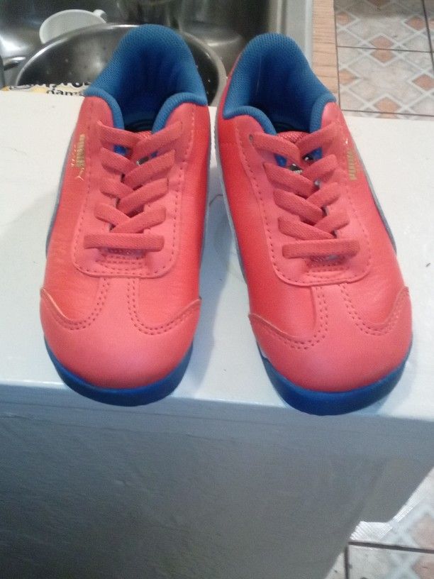 Baby Pumas
