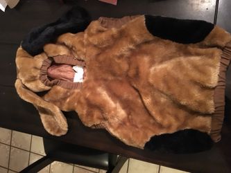 Dog costume