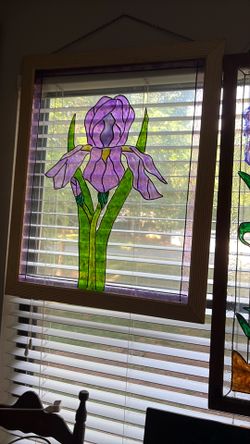 Purple Iris
