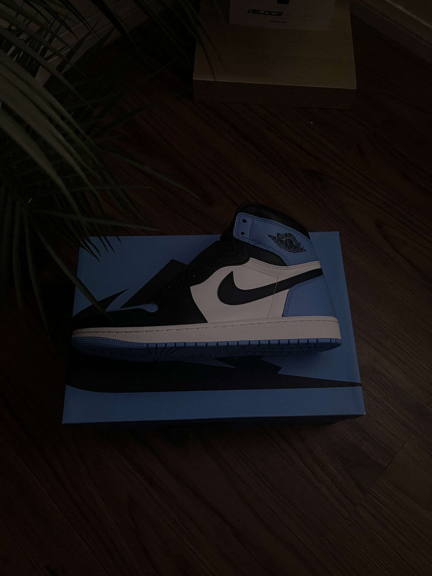 Jordan 1 UNC Toe