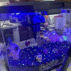 Ice Maker And Fish Tank