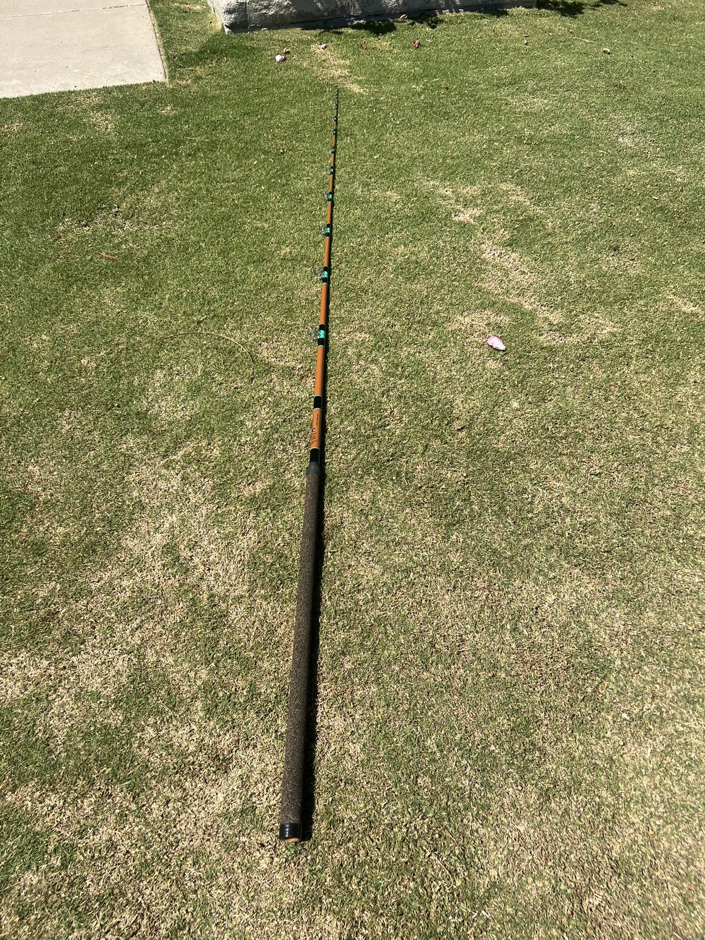 Calstar West Coast WCDH-196-8C Fishing Rod