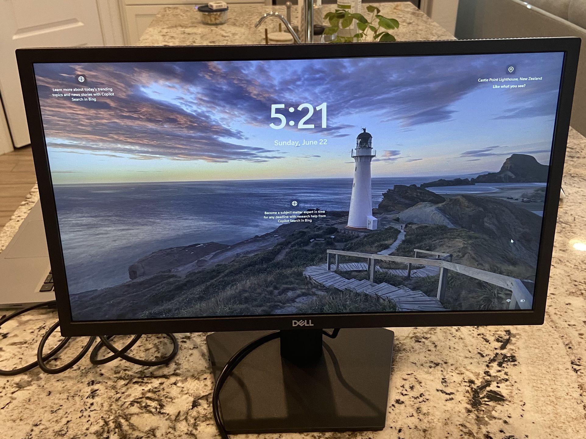 22in Dell Monitor