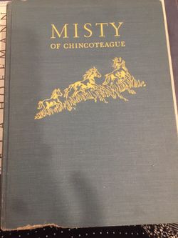 Misty of Chincoteaque