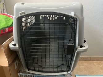 Dog crate taxi