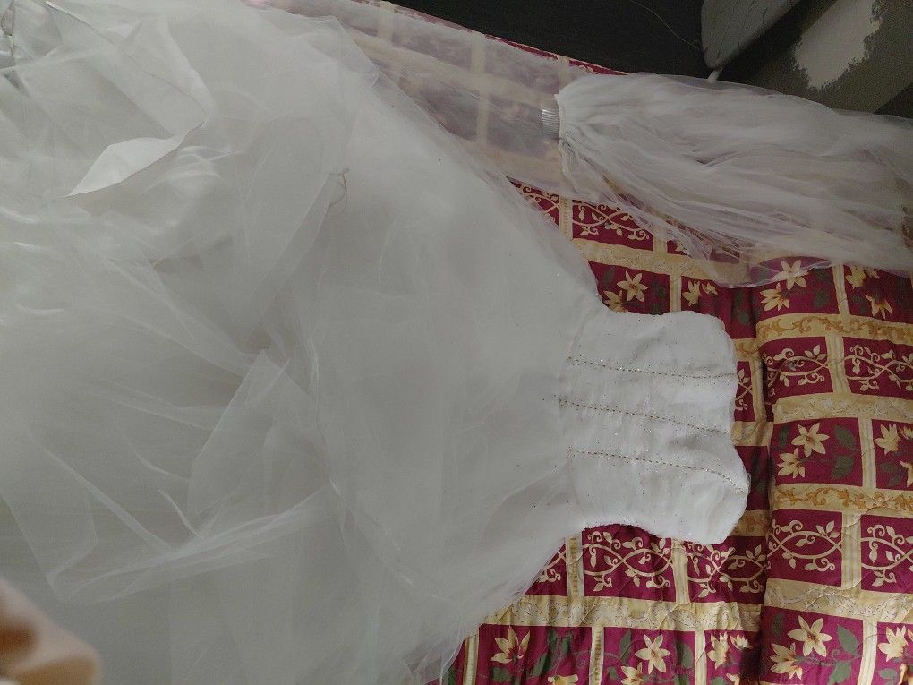 Wedding Dress/Quinceanera Dress
