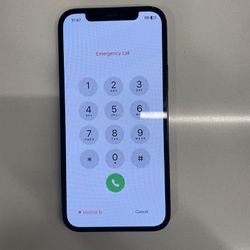 iphone 12 (pw locked)