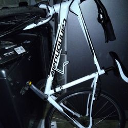 Canandale Quick Five