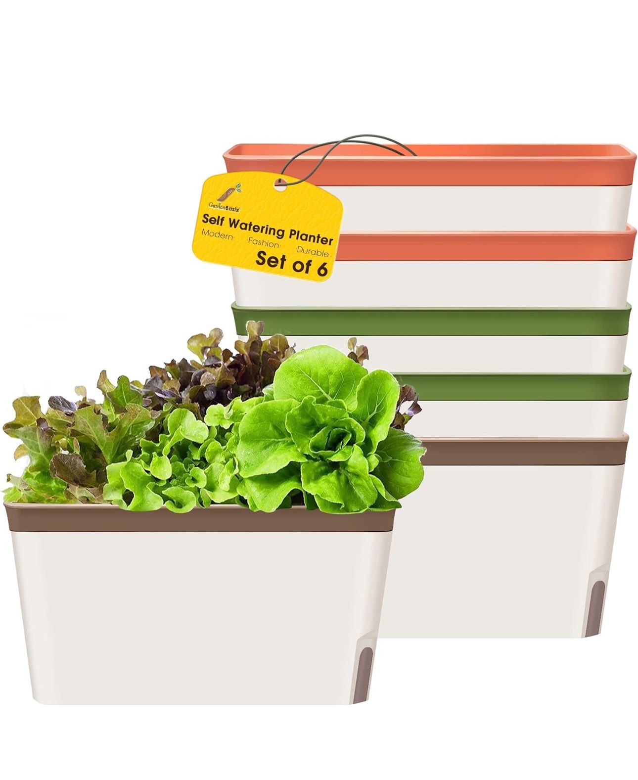 GardenBasix Self Watering Planter Pots Window Box for Indoor Plants Home Garden Modern Decorative Flower Pot for All House Herbs Succulents Set of 6 (