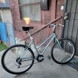 Vintage Mid 1990 Giant Iguana 630 Light Mettalic Silver Green Mountain 21 Speed Step Through Bicycle