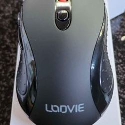 Lodvie Wireless Computer Mouse Pointer Model D-16
