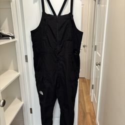 The north face Men’s Freedom Bibs black dryvent xxl excellent condition 