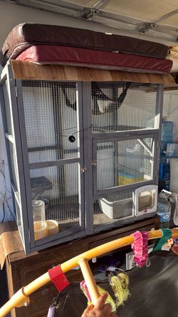Cat house and condo/cage