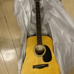 Acoustic Guitar