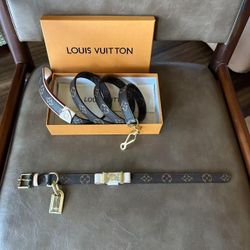 Luxury brand dog collar and leash set