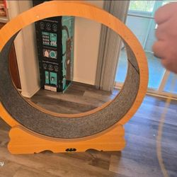 Cat Wheel