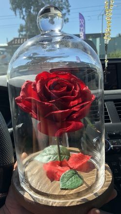 Enchanted Rose